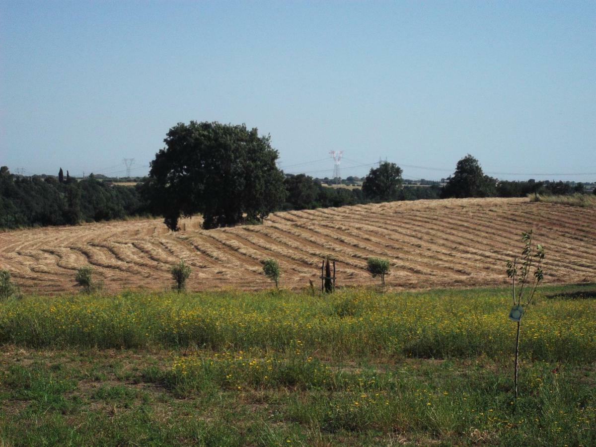 Poderi Di Tragliatella Exterior photo